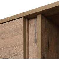 Шкаф распашной Рэйгрупп Bromo 01.02 ДЗД 166x198x55 ШР 01.02 VL (дуб веллингтон) - Превью изображения №4 — Интернет-магазин ПроЗаказ