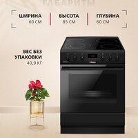 Кухонная плита Hansa FCCM69225H - Превью изображения №12 — Интернет-магазин ПроЗаказ