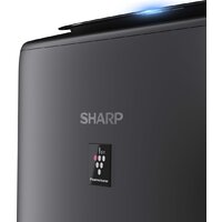 Климатический комплекс Sharp UA-KIN52E-H - Превью изображения №7 — Интернет-магазин ПроЗаказ