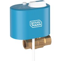 Stahlmann 3/4F 12В 2282756