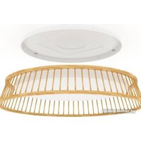 Припотолочная люстра Eglo Luppineria 900797 - Превью изображения №4 — Интернет-магазин ПроЗаказ