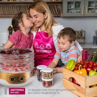Сушилка для овощей и фруктов Мастерица EFD-3051 - Превью изображения №5 — Интернет-магазин ПроЗаказ
