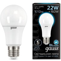 Gauss LED A70 E27 22 Вт 4100К 102502222