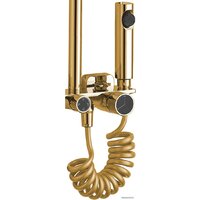 Душевая система  Rea Helix Gold REA-P6619 - Превью изображения №6 — Интернет-магазин ПроЗаказ