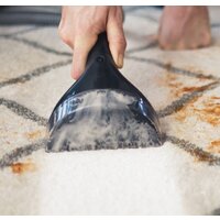 Пылесос Bissell SpotClean Pro 1558N - Превью изображения №3 — Интернет-магазин ПроЗаказ