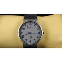 Наручные часы Skagen SKW6097 - Превью изображения №14 — Интернет-магазин ПроЗаказ