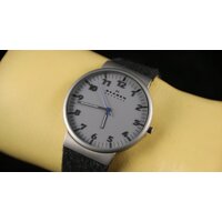 Наручные часы Skagen SKW6097 - Превью изображения №20 — Интернет-магазин ПроЗаказ