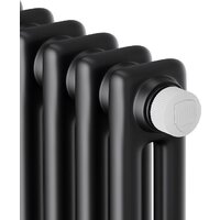 Стальной трубчатый радиатор Royal Thermo Insignia VC2180 - 12 секций RAL9005m - Превью изображения №3 — Интернет-магазин ПроЗаказ