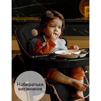 Высокий стульчик Amarobaby Elegant AB23-23EL/09 (черный) - Превью изображения №12 — Интернет-магазин ПроЗаказ