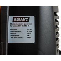 Мойка высокого давления Gigant GLU-01 - Превью изображения №8 — Интернет-магазин ПроЗаказ