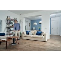 Вертикальный моющий пылесос Hoover HW300 011 - Превью изображения №31 — Интернет-магазин ПроЗаказ