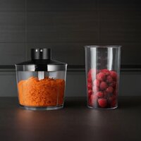 Погружной блендер RED Solution HB2909 - Превью изображения №14 — Интернет-магазин ПроЗаказ