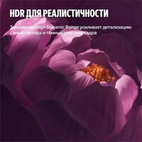 Телевизор Яндекс ТВ Станция Бейсик QLED с Алисой 50 - Превью изображения №12 — Интернет-магазин ПроЗаказ