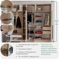 Шкаф распашной Рэйгрупп Рэй S262-В14-3-WKW В14-3 (дуб веллингтон/кобальт) - Превью изображения №6 — Интернет-магазин ПроЗаказ