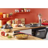Набор сковород Tefal Ingenio Emotion L897SD74 - Превью изображения №9 — Интернет-магазин ПроЗаказ
