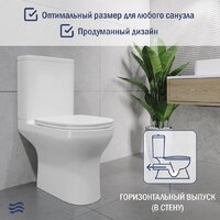 Унитаз напольный Lauter W246 2110246 + гигиенический душ Rainix 21LT7711CH (горизонтальный выпуск) - Превью изображения №6 — Интернет-магазин ПроЗаказ