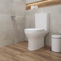 Унитаз напольный Lauter W246 2110246 + гигиенический душ Rainix 21LT7711CH (горизонтальный выпуск) - Превью изображения №19 — Интернет-магазин ПроЗаказ