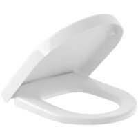 Сиденье для унитаза Villeroy & Boch Omnia Architectura 9M66S201 - Превью изображения №2 — Интернет-магазин ПроЗаказ