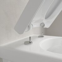 Сиденье для унитаза Villeroy & Boch Omnia Architectura 9M66S201 - Превью изображения №9 — Интернет-магазин ПроЗаказ