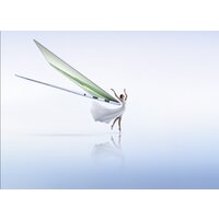 Ноутбук HONOR MagicBook Art 14 2024 MRA-721 5301AKXJ - Превью изображения №17 — Интернет-магазин ПроЗаказ