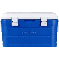 Арктика 2000-30 (синий)