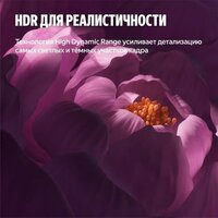 Телевизор Яндекс ТВ Станция Бейсик QLED с Алисой 43 - Превью изображения №14 — Интернет-магазин ПроЗаказ