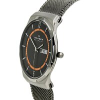 Наручные часы Skagen SKW6007 - Превью изображения №3 — Интернет-магазин ПроЗаказ