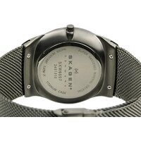 Наручные часы Skagen SKW6007 - Превью изображения №4 — Интернет-магазин ПроЗаказ
