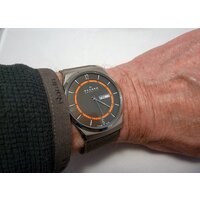Наручные часы Skagen SKW6007 - Превью изображения №8 — Интернет-магазин ПроЗаказ