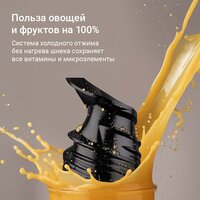 Соковыжималка Redmond (Редмонд) J1409 - Превью изображения №3 — Интернет-магазин ПроЗаказ