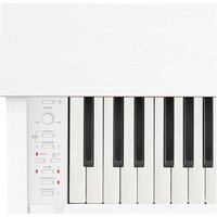 Цифровое пианино Casio Celviano AP-270 (белый) - Превью изображения №4 — Интернет-магазин ПроЗаказ
