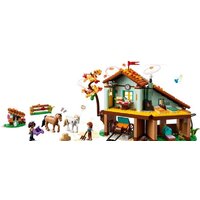 Конструктор LEGO Friends Осенняя конюшня 41745 - Превью изображения №4 — Интернет-магазин ПроЗаказ