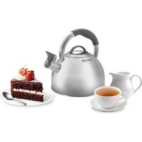 Чайник со свистком Rondell Flamme RDS-1899 - Превью изображения №4 — Интернет-магазин ПроЗаказ