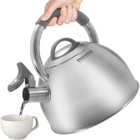 Чайник со свистком Rondell Flamme RDS-1899 - Превью изображения №3 — Интернет-магазин ПроЗаказ