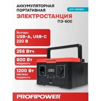 Портативная зарядная станция Profipower ПЭ-600 - Превью изображения №13 — Интернет-магазин ПроЗаказ