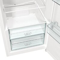 Однокамерный холодильник Gorenje R619EEW5 - Превью изображения №14 — Интернет-магазин ПроЗаказ