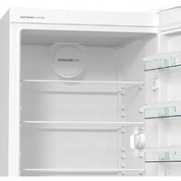 Однокамерный холодильник Gorenje R619EEW5 - Превью изображения №13 — Интернет-магазин ПроЗаказ