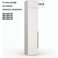 Шкаф распашной Кастанье Модерн Ш 500 (кашемир) - Превью изображения №4 — Интернет-магазин ПроЗаказ