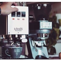 Рожковая кофеварка Gaggia Classic Evo Inox 9481/11 - Превью изображения №3 — Интернет-магазин ПроЗаказ