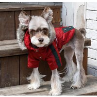 Куртка для животных Puppia Brock с капюшоном PAUD-JM1851-RD-M (красный) - Превью изображения №4 — Интернет-магазин ПроЗаказ