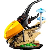 Конструктор LEGO Ideas 21342 Коллекция насекомых - Превью изображения №4 — Интернет-магазин ПроЗаказ