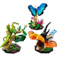 Конструктор LEGO Ideas 21342 Коллекция насекомых - Превью изображения №7 — Интернет-магазин ПроЗаказ