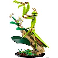 Конструктор LEGO Ideas 21342 Коллекция насекомых - Превью изображения №3 — Интернет-магазин ПроЗаказ