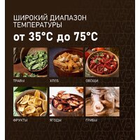 Сушилка для овощей и фруктов Weissgauff WDH 108 Digital Dry - Превью изображения №4 — Интернет-магазин ПроЗаказ