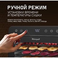 Сушилка для овощей и фруктов Weissgauff WDH 108 Digital Dry - Превью изображения №10 — Интернет-магазин ПроЗаказ