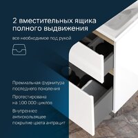  AM.PM Тумба под умывальник X-Joy M85A-FSX0552-WC0552WG - Превью изображения №10 — Интернет-магазин ПроЗаказ