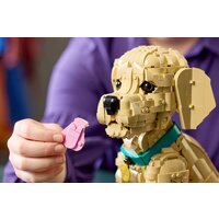 Конструктор LEGO Icons 11384 Щенок золотистого ретривера - Превью изображения №12 — Интернет-магазин ПроЗаказ