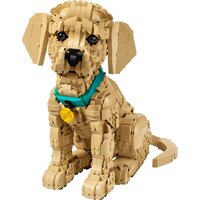 Конструктор LEGO Icons 11384 Щенок золотистого ретривера - Превью изображения №2 — Интернет-магазин ПроЗаказ