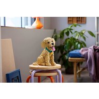 Конструктор LEGO Icons 11384 Щенок золотистого ретривера - Превью изображения №16 — Интернет-магазин ПроЗаказ