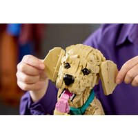 Конструктор LEGO Icons 11384 Щенок золотистого ретривера - Превью изображения №14 — Интернет-магазин ПроЗаказ